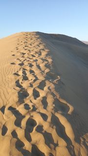 GC-Dunas de Maspalomas sunset 2026-098.jpg